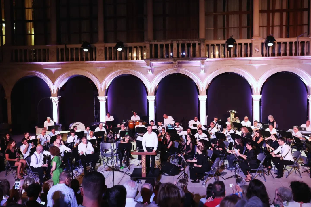 Koncert ŠNG