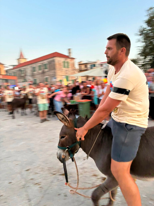 Tradicionalne Trke tovara održane u Pirovcu: Posjetitelji se zabavljali uz hitove legendarnog Miše Kovača