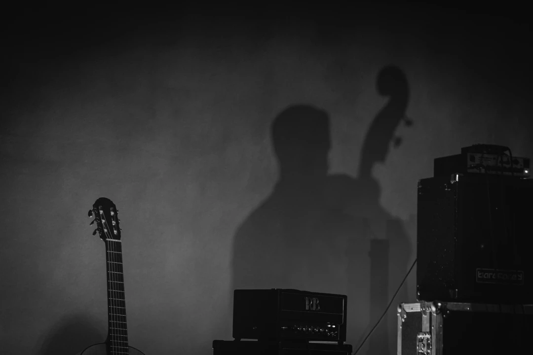 Filip Pavić Quartet u 'Kući umjetnosti Arsen': Savršena ljetna jazz večer uz predivnu posvetu
