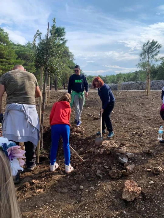 Šibenski volonteri s kolegama iz Europe zasadili mlada stabla u uvali Minerska u kanalu