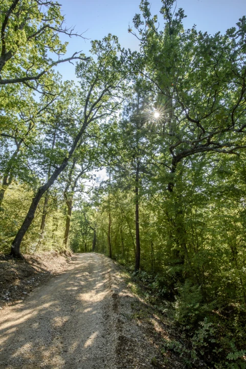 Povoljnije ulaznice i vođenja: NP Krka i ove godine dio Europskog tjedna mobilnosti