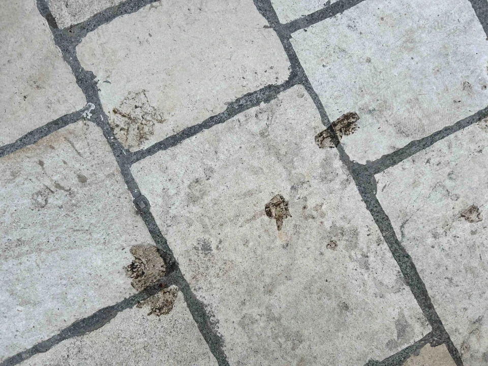 Šibenik njeguje tradiciju, barem onu srednjovjekovnu prljavih ulica!