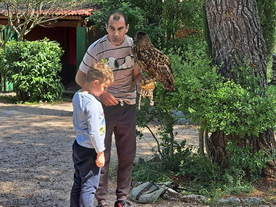 Djeca iz DV Tamaris posjetili Sokolarski centar u Dubravi  
