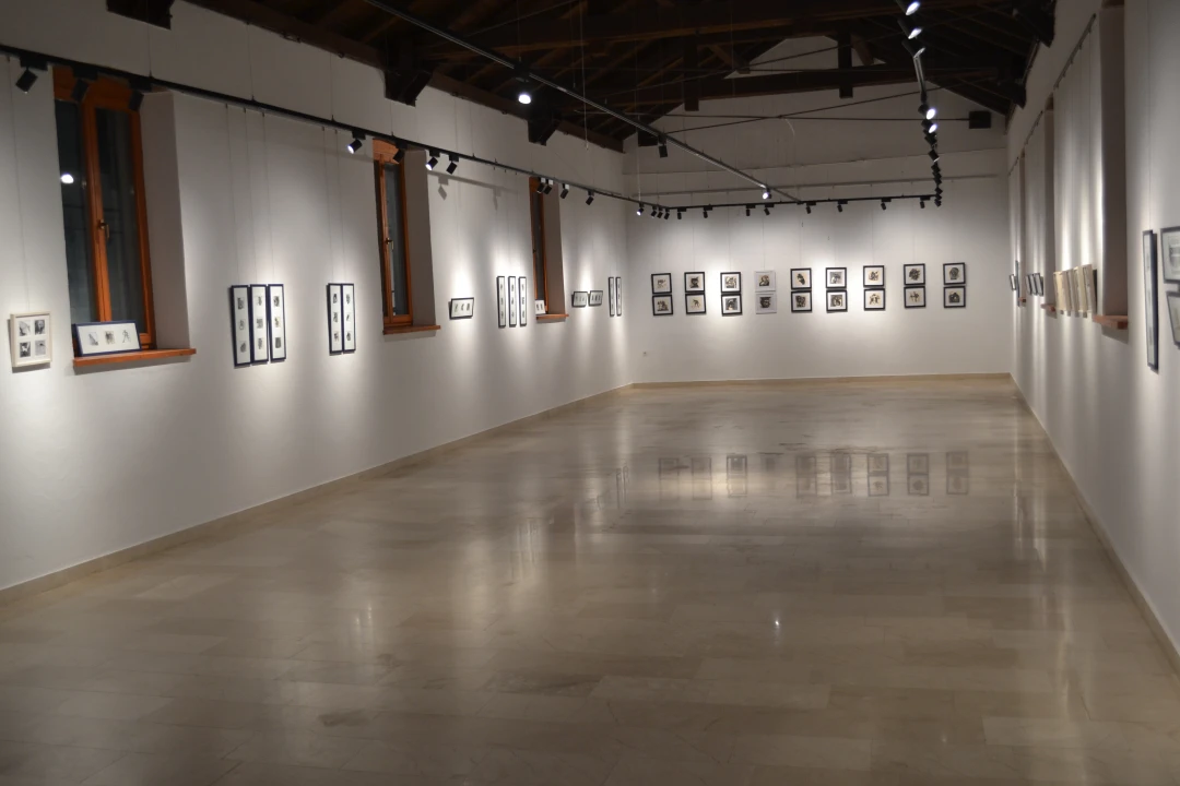 U galeriji Kninskog muzeja otvorena izložba crteža naziva 'Misli' akademske grafičarke Katarine Galić 