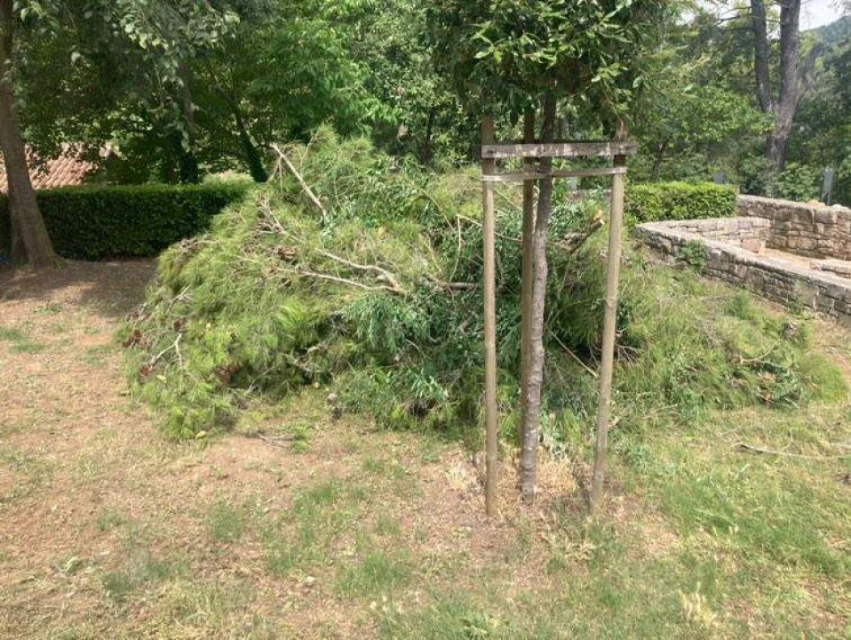 Uznemireni čitatelji snimili posječena stabla na Krki, iz NP-a poručuju: 'Bila su u vrlo lošem stanju'