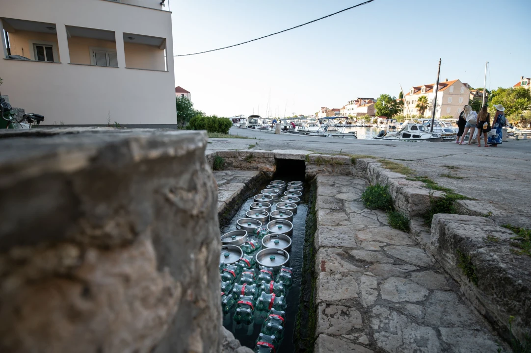 Na Zlarinu održana tradicionalna Srdelada