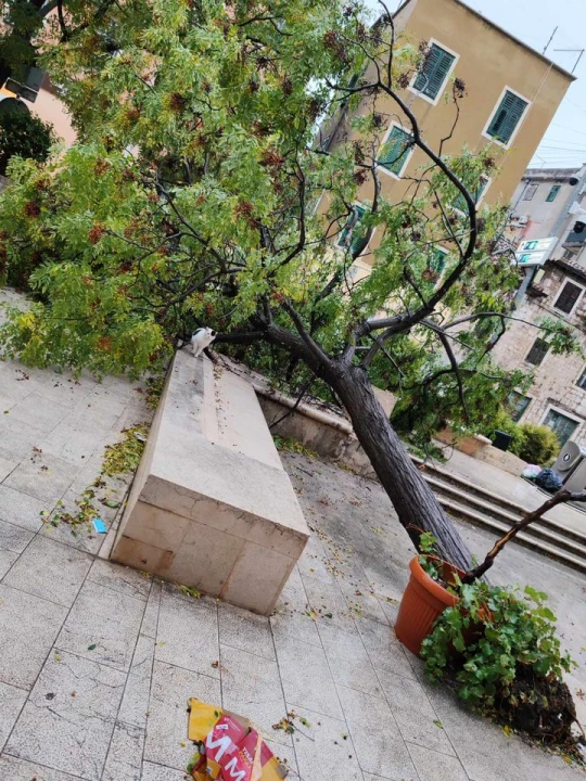 Olujni vjetar napravio kaos po gradu: Srušen rasvjetni stup na Starom pazaru, motori 'polegli' na Baldekinu...