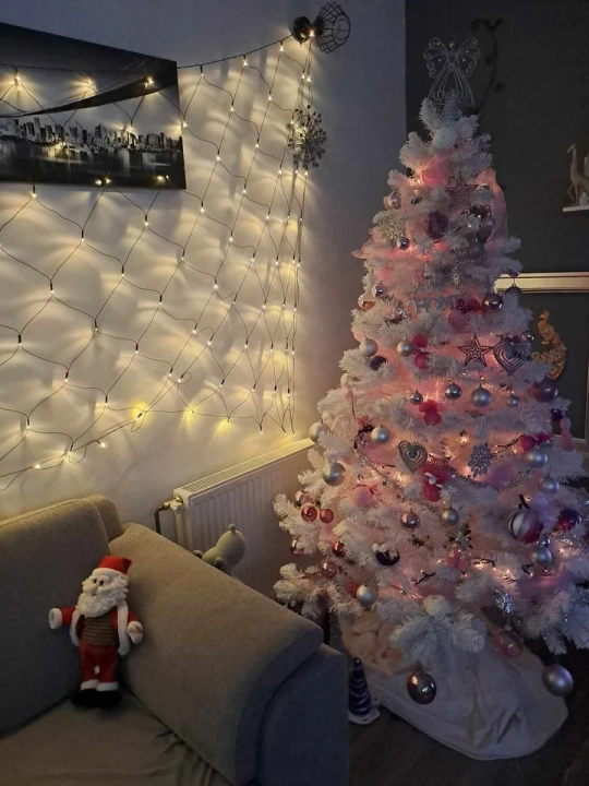 Provjerite tko su pobjednici izbora za naj jelku!