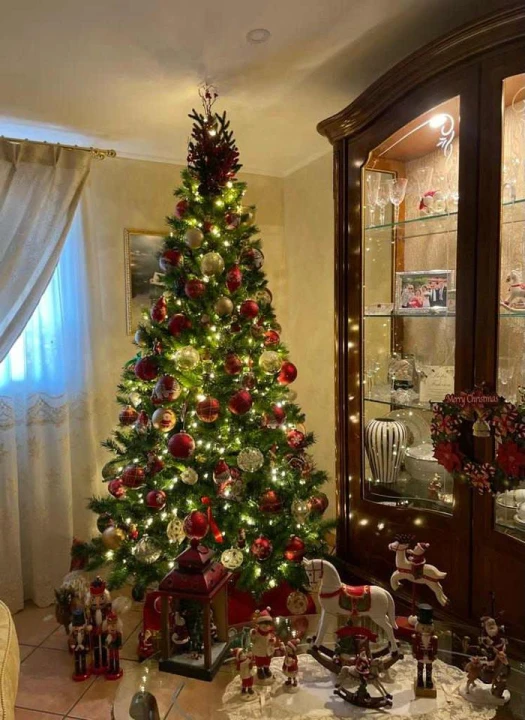 Provjerite tko su pobjednici izbora za naj jelku!