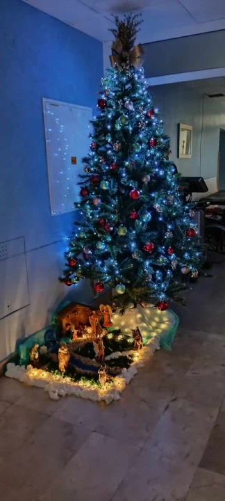 Provjerite tko su pobjednici izbora za naj jelku!