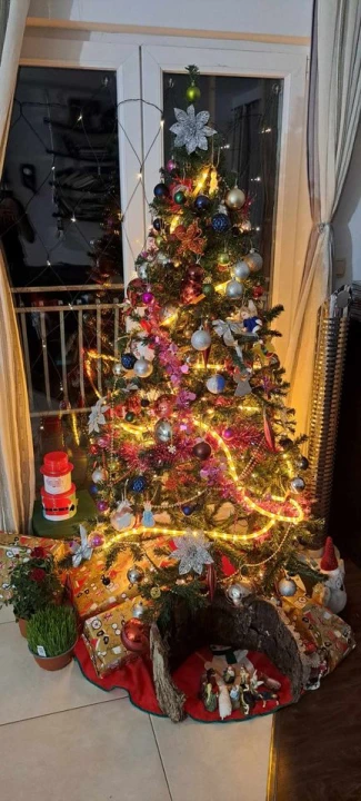 Provjerite tko su pobjednici izbora za naj jelku!