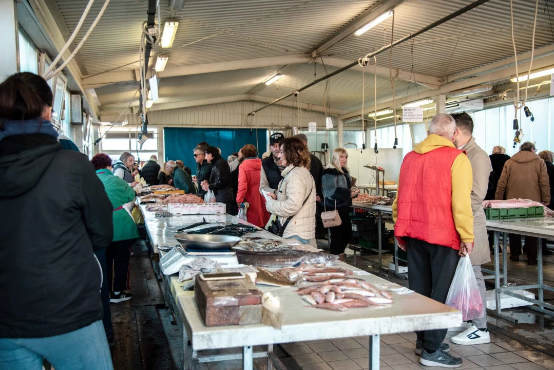 Šibenska peškarija danas nudi hamu, ribu na rubu istrebljenja u Jadranu