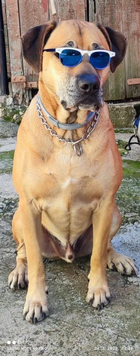 Provjerite tko su naj ljubimci 2024. godine!