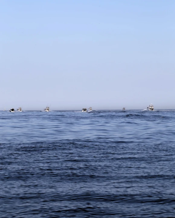 'Corto' i trinaestogodišnja kapetanica svjetski su prvaci i pobjednici prvog 'Adriatic offshore tuna championship 2024.'