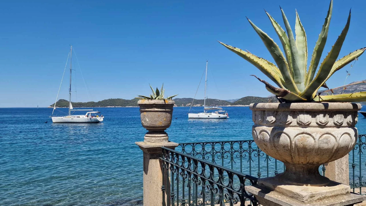 Morska avantura  ŠibenikIN-a: Tjedan dana jedrenja do Dubrovnika, prekrasnih otoka i vala uz nezaboravnu igru dupina