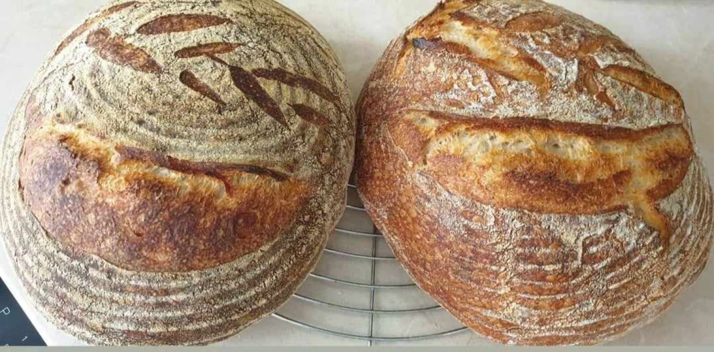 Recept za sourdough kruh Sanje Antunac od durum pšenice
