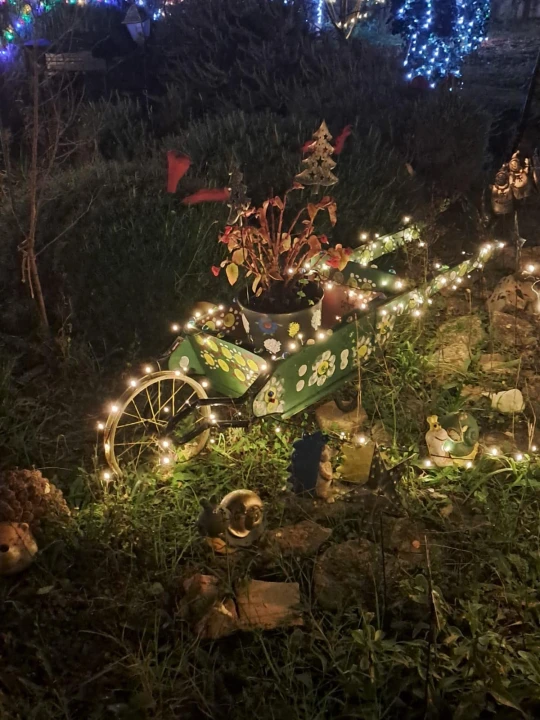 Božićni vrt obitelji Vlahov oduševljava: Blista s 27 tisuća lampica