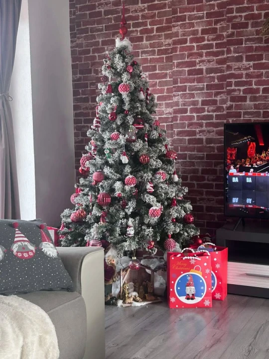 Provjerite tko su pobjednici izbora za naj jelku!