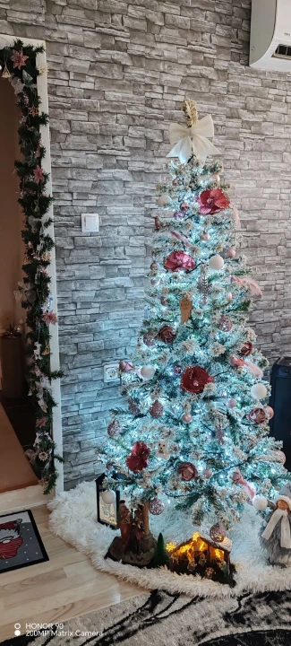Provjerite tko su pobjednici izbora za naj jelku!