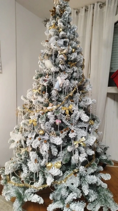 Provjerite tko su pobjednici izbora za naj jelku!