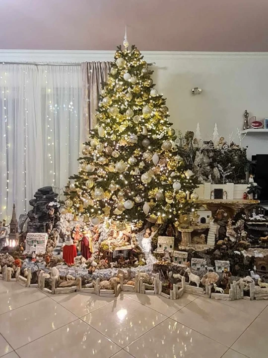 Provjerite tko su pobjednici izbora za naj jelku!