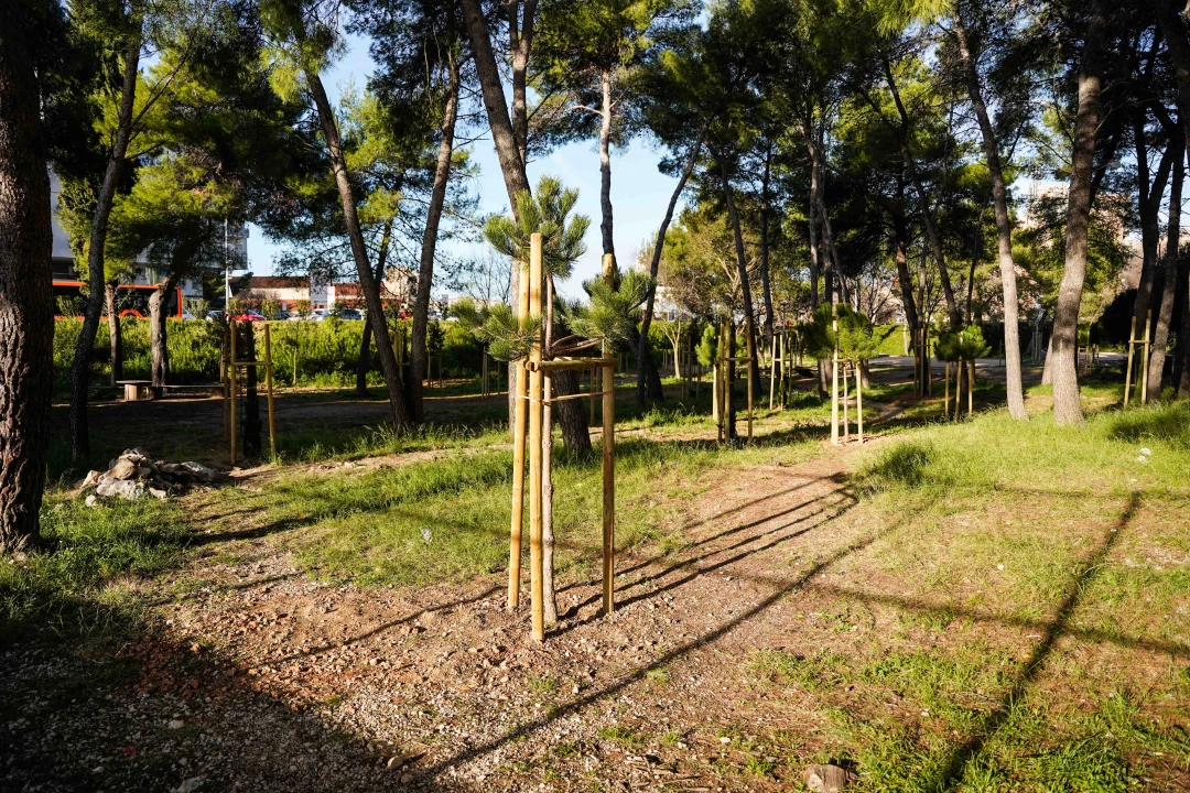 Radovi na trim stazi u Rasadniku počinju kroz deset dana: U prvoj fazi uređena tri igrališta za petanku