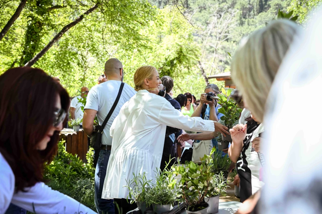 FOTO Podijeljeno 1500 sadnica lavande, mirte i lovora: Akcija ‘Rastemo zajedno’ treću godinu zaredom u NP Krka
