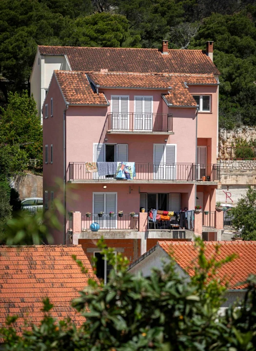 rokici