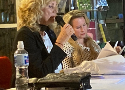 Fotografija 7 - Maja Gulin kandidatkinja je za Šibensku grandecu