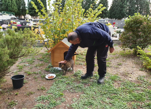 Mali Joka, jedini živi stanovnik šibenskog groblja: Dobio je i kućicu, a ne prođe dan da ne dobije i marendu