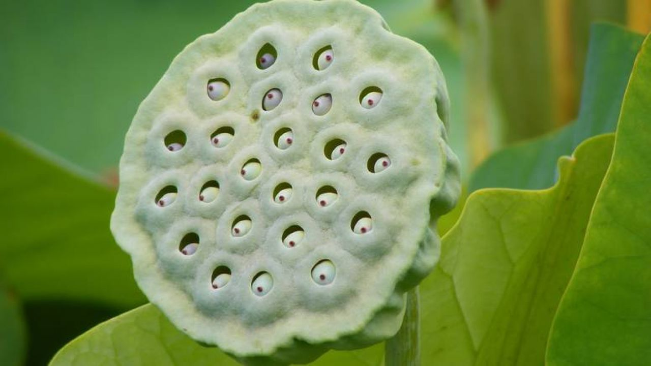 Mnogi niti ne znaju da imaju ovu fobiju, jeste li među njima?