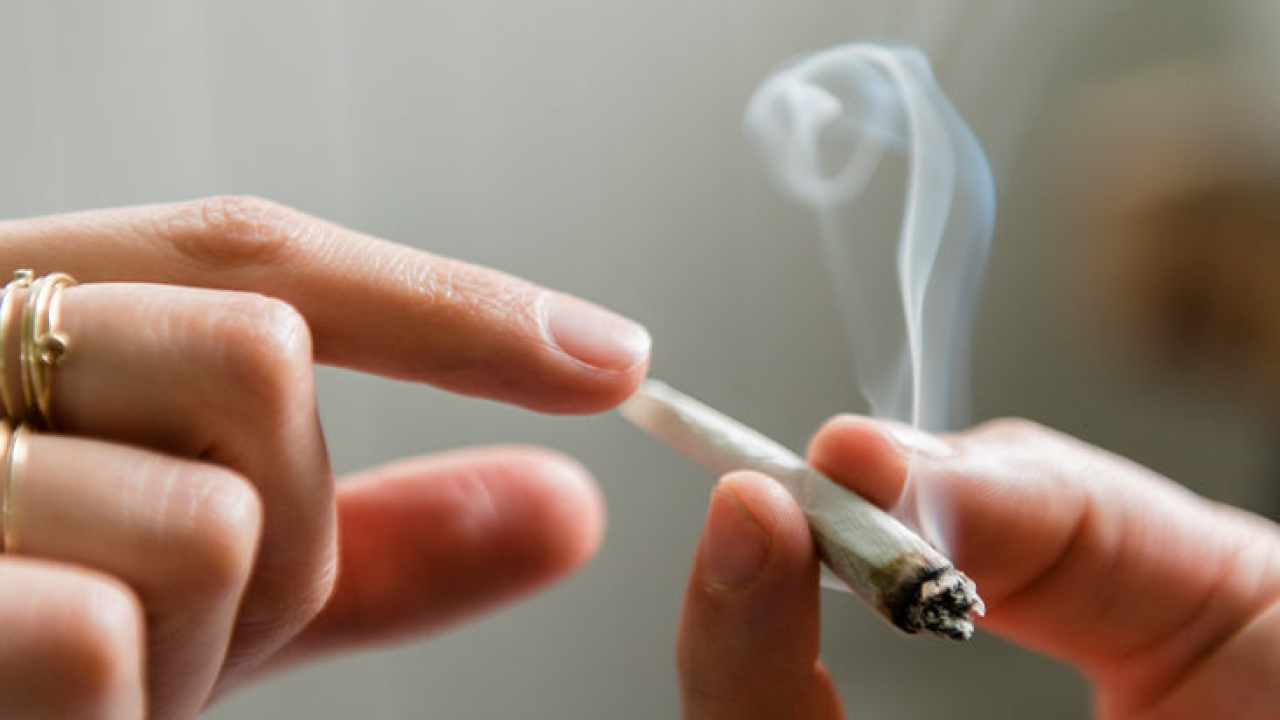 Kanabis sprječava širenje koronavirusa u plućima