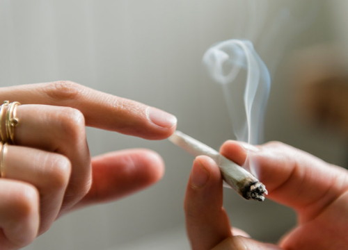 Kanabis sprječava širenje koronavirusa u plućima