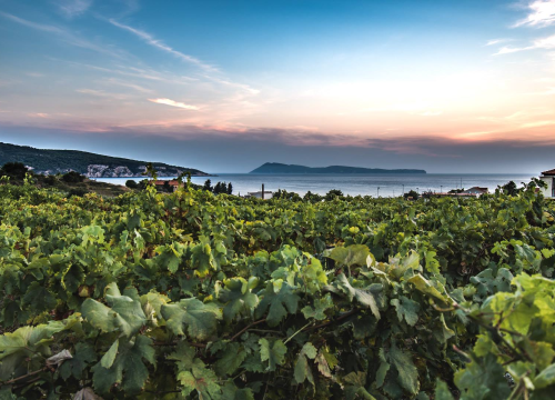 Fotografija 3 - Zaplovili smo iz Šibenika put juga i otkrili tajne magičnih dalmatinskih otoka