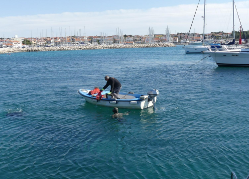 Fotografija 6 - Ronioci iz tri županije iz mora kod vodičke rive izronili puna dva kontejnera smeća!