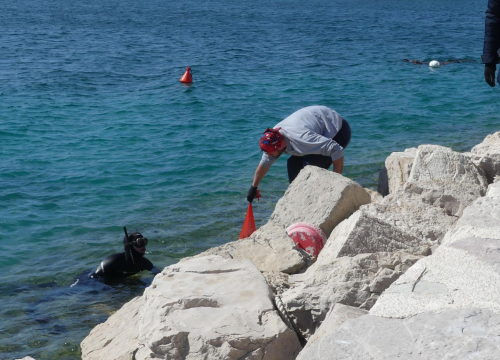 Fotografija 12 - Ronioci iz tri županije iz mora kod vodičke rive izronili puna dva kontejnera smeća!