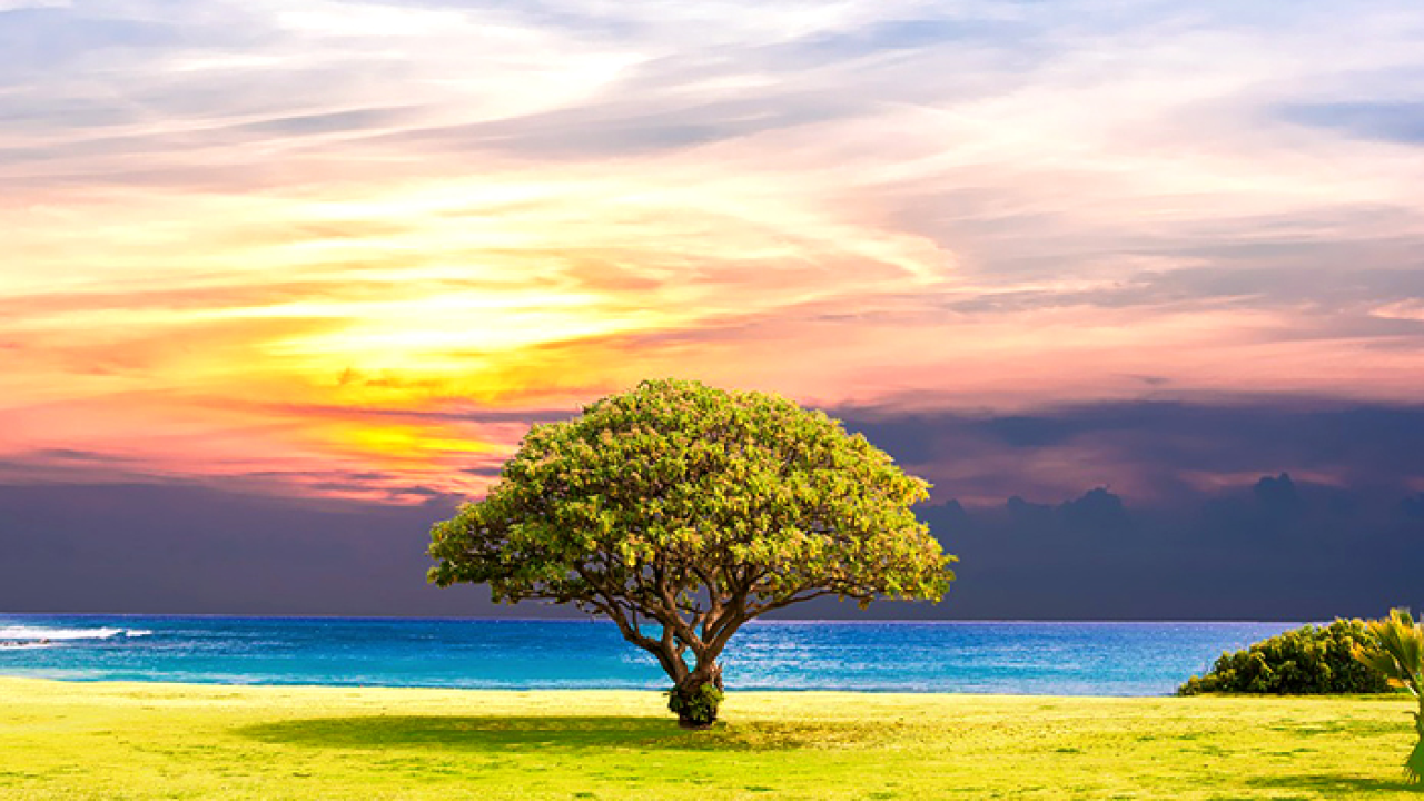 Veliki mjesečni horoskop za svibanj: Blizancima će se isplatiti upornost, Rakove će pratiti zadovoljstvo