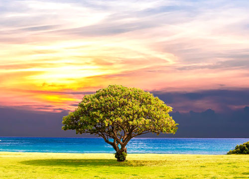 Veliki mjesečni horoskop za svibanj: Blizancima će se isplatiti upornost, Rakove će pratiti zadovoljstvo