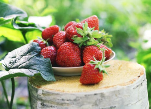 Počinje sezona mnogima omiljenih jagoda: Evo savjeta kako odabrati onu najbolju