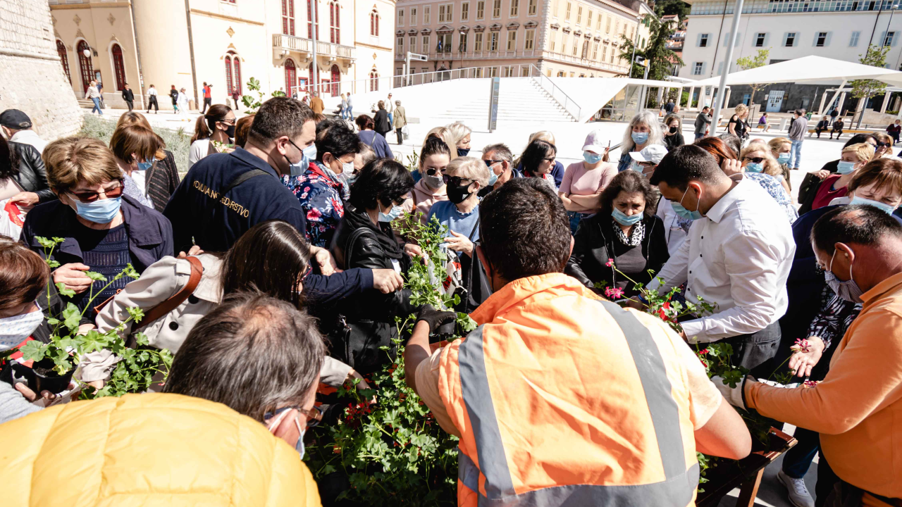 Umirovljenički stampedo za sadnice đirana na Poljani: ‘Gužva je veća za cvijeće nego za cijepljenje’