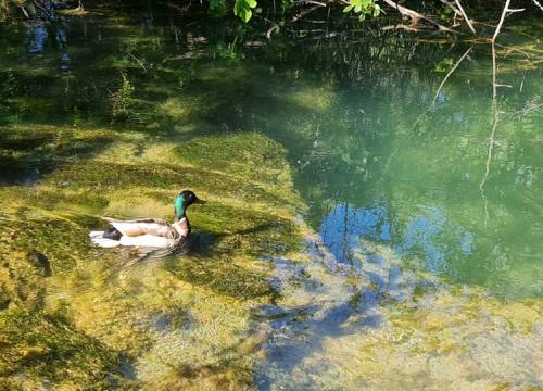 Fotografija 19 - Proveli smo Majčin dan na Skradinskom buku uz ljepote Majke prirode