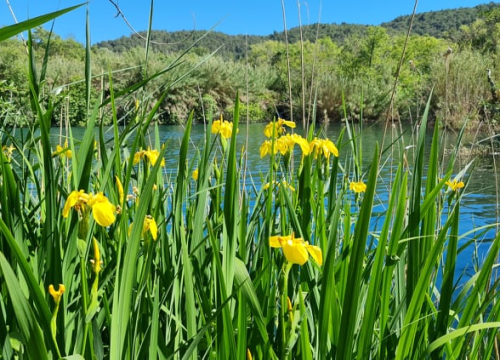 Fotografija 23 - Proveli smo Majčin dan na Skradinskom buku uz ljepote Majke prirode