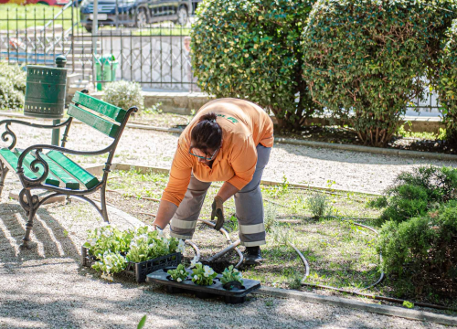 Fotografija 3 - U šibenskom 'dnevnom boravku' sadi se cvijeće i uređuje okoliš: Perivoj Roberta Visianija dočekat će ljeto u punom sjaju
