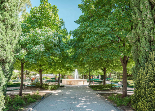 Fotografija 4 - U šibenskom 'dnevnom boravku' sadi se cvijeće i uređuje okoliš: Perivoj Roberta Visianija dočekat će ljeto u punom sjaju