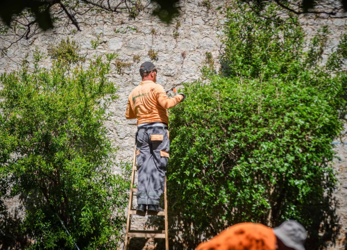 Fotografija 5 - U šibenskom 'dnevnom boravku' sadi se cvijeće i uređuje okoliš: Perivoj Roberta Visianija dočekat će ljeto u punom sjaju