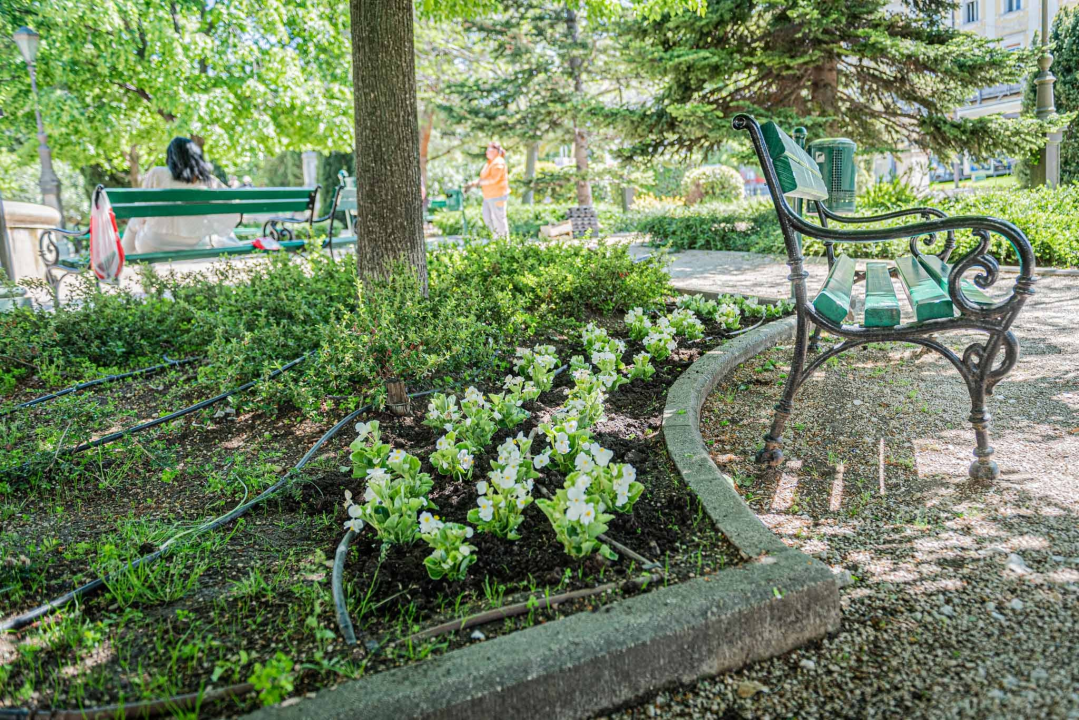 U šibenskom 'dnevnom boravku' sadi se cvijeće i uređuje okoliš: Perivoj Roberta Visianija dočekat će ljeto u punom sjaju