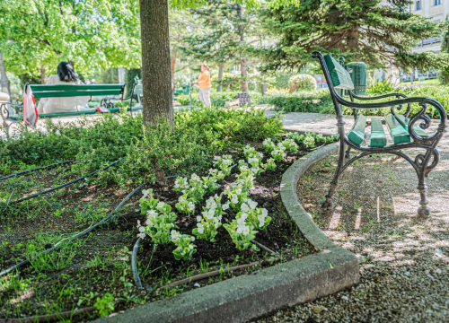 U šibenskom 'dnevnom boravku' sadi se cvijeće i uređuje okoliš: Perivoj Roberta Visianija dočekat će ljeto u punom sjaju