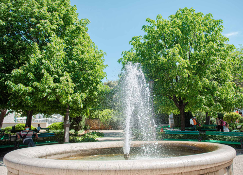 Fotografija 6 - U šibenskom 'dnevnom boravku' sadi se cvijeće i uređuje okoliš: Perivoj Roberta Visianija dočekat će ljeto u punom sjaju