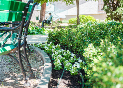 Fotografija 7 - U šibenskom 'dnevnom boravku' sadi se cvijeće i uređuje okoliš: Perivoj Roberta Visianija dočekat će ljeto u punom sjaju