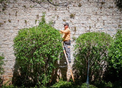 Fotografija 10 - U šibenskom 'dnevnom boravku' sadi se cvijeće i uređuje okoliš: Perivoj Roberta Visianija dočekat će ljeto u punom sjaju